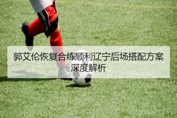郭艾伦恢复合练顺利辽宁后场搭配方案深度解析 | xingkong.comapp